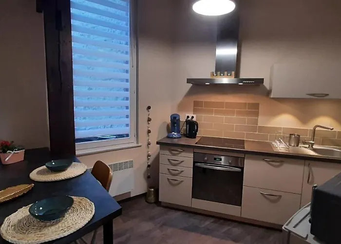 Le Rohan 公寓 科尔马